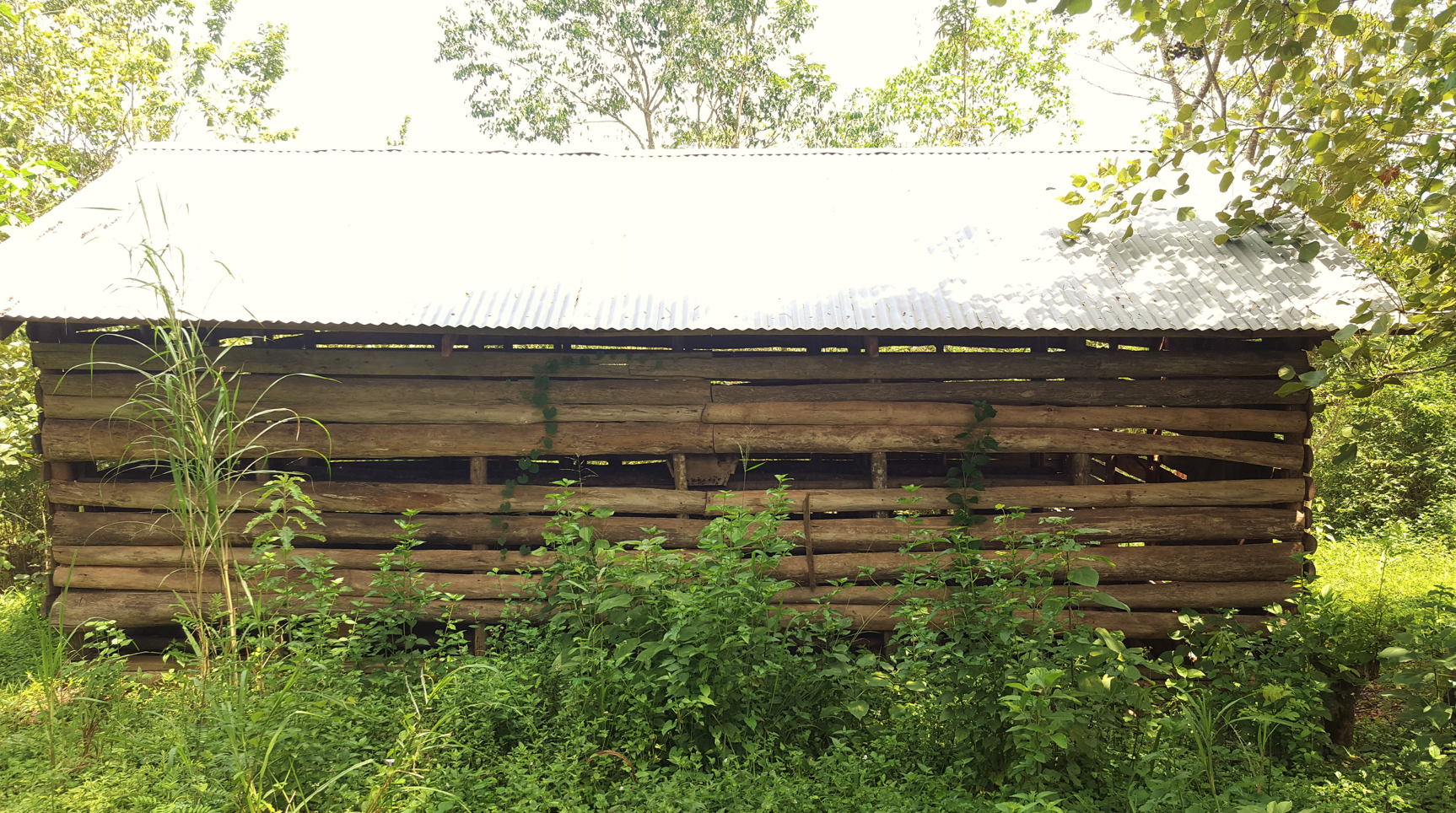 Screen Shot 2017-06-06 at 13.50.43.png